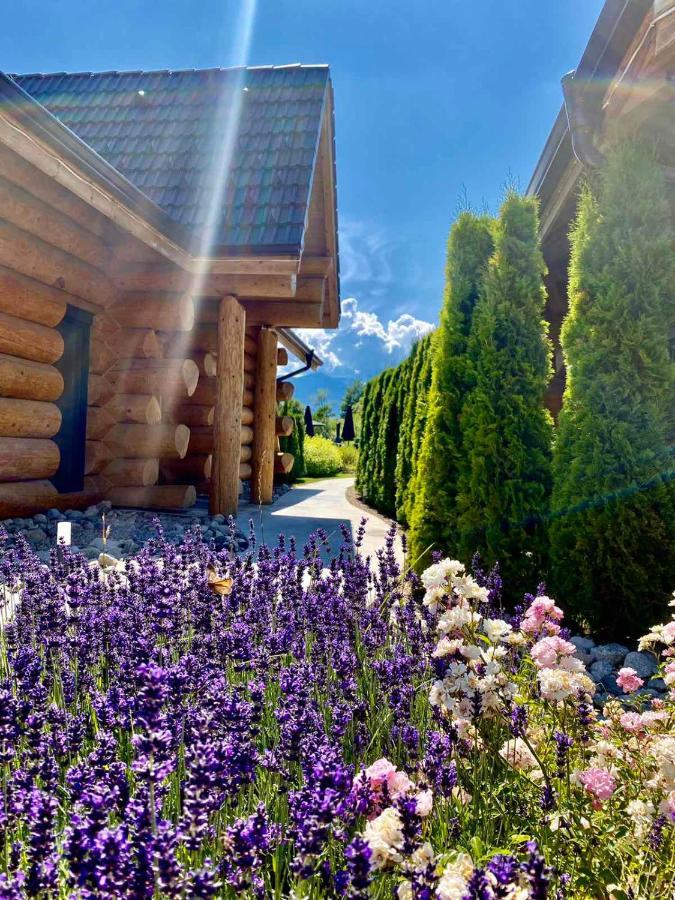 Alpina Luxury Chalets 巴尼亚 外观 照片